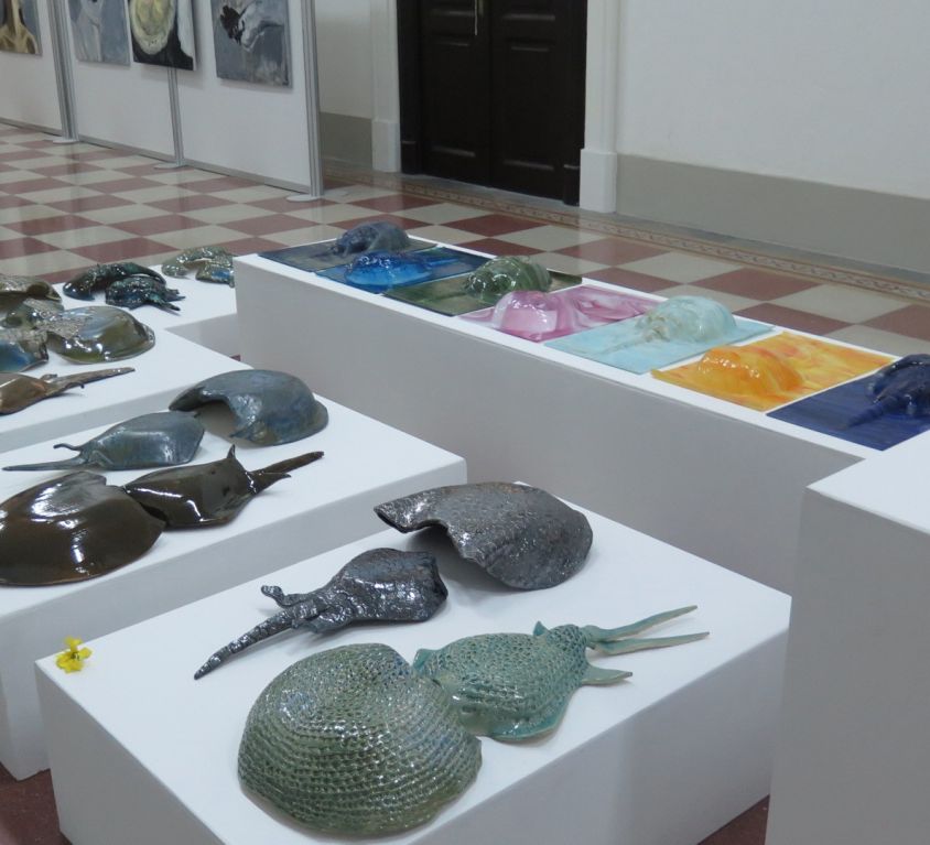 Andreea Manolache – proiect de licență, 2018