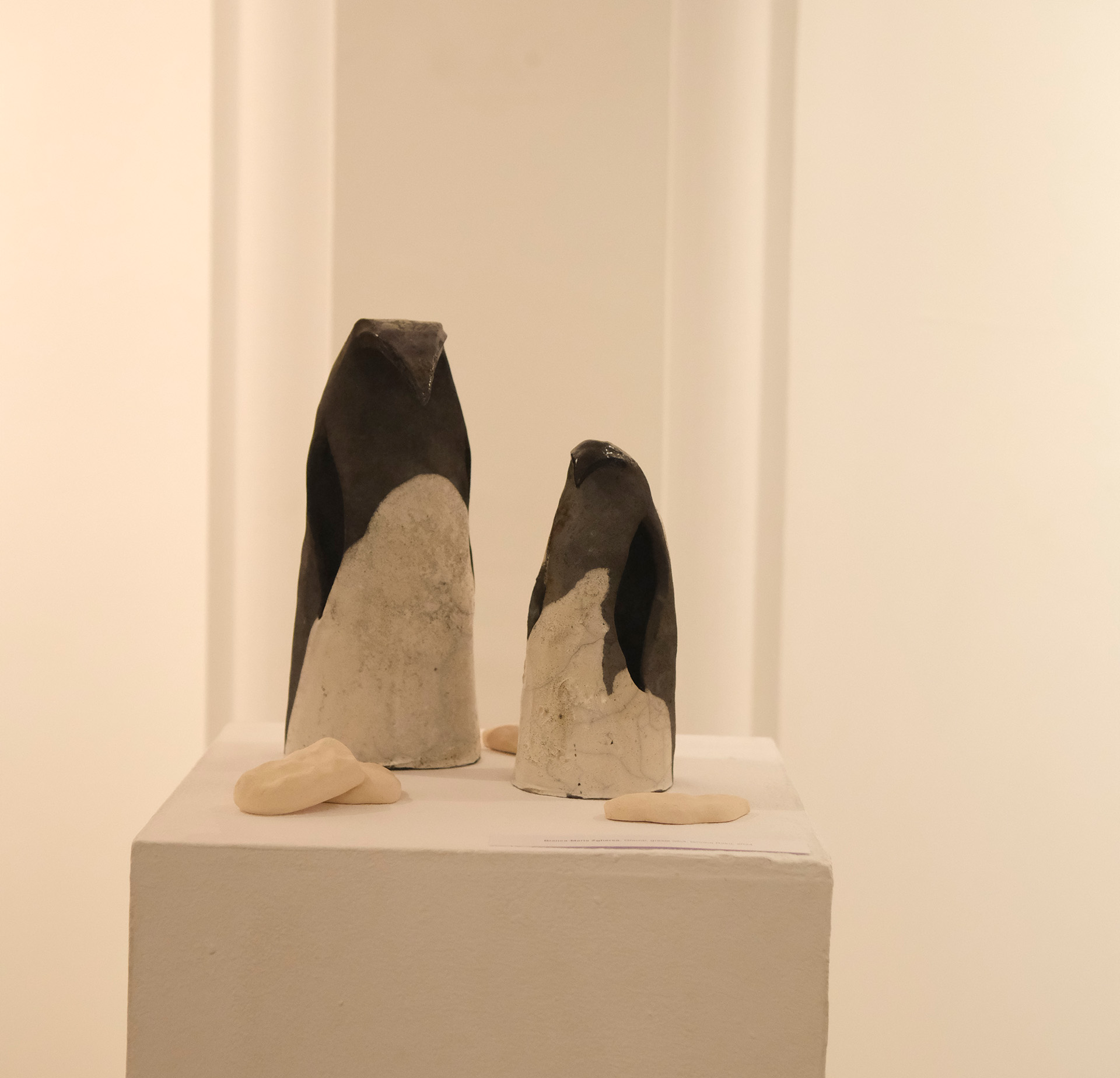 Reflexii in umbre (10)