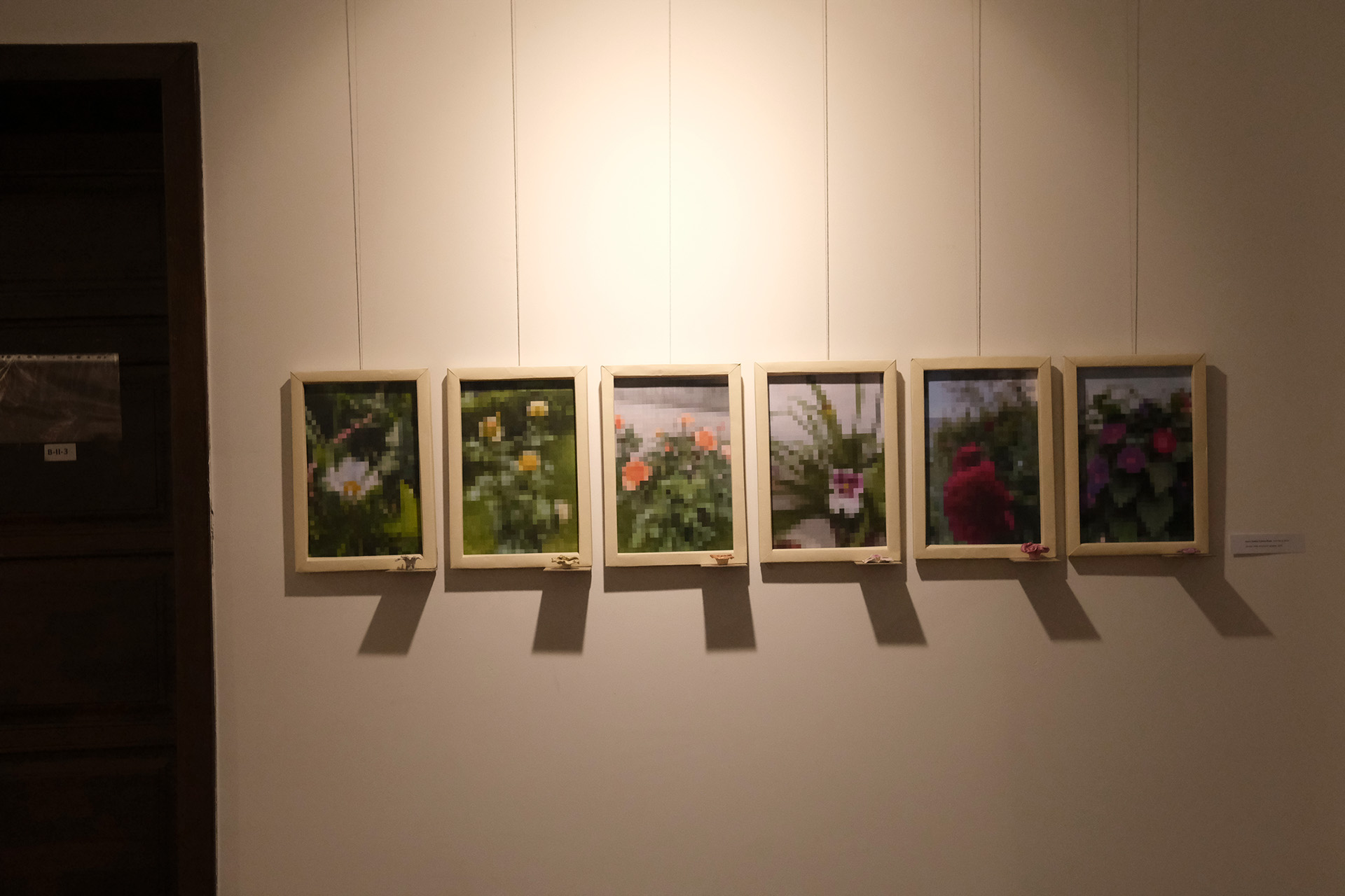 Reflexii in umbre (13)