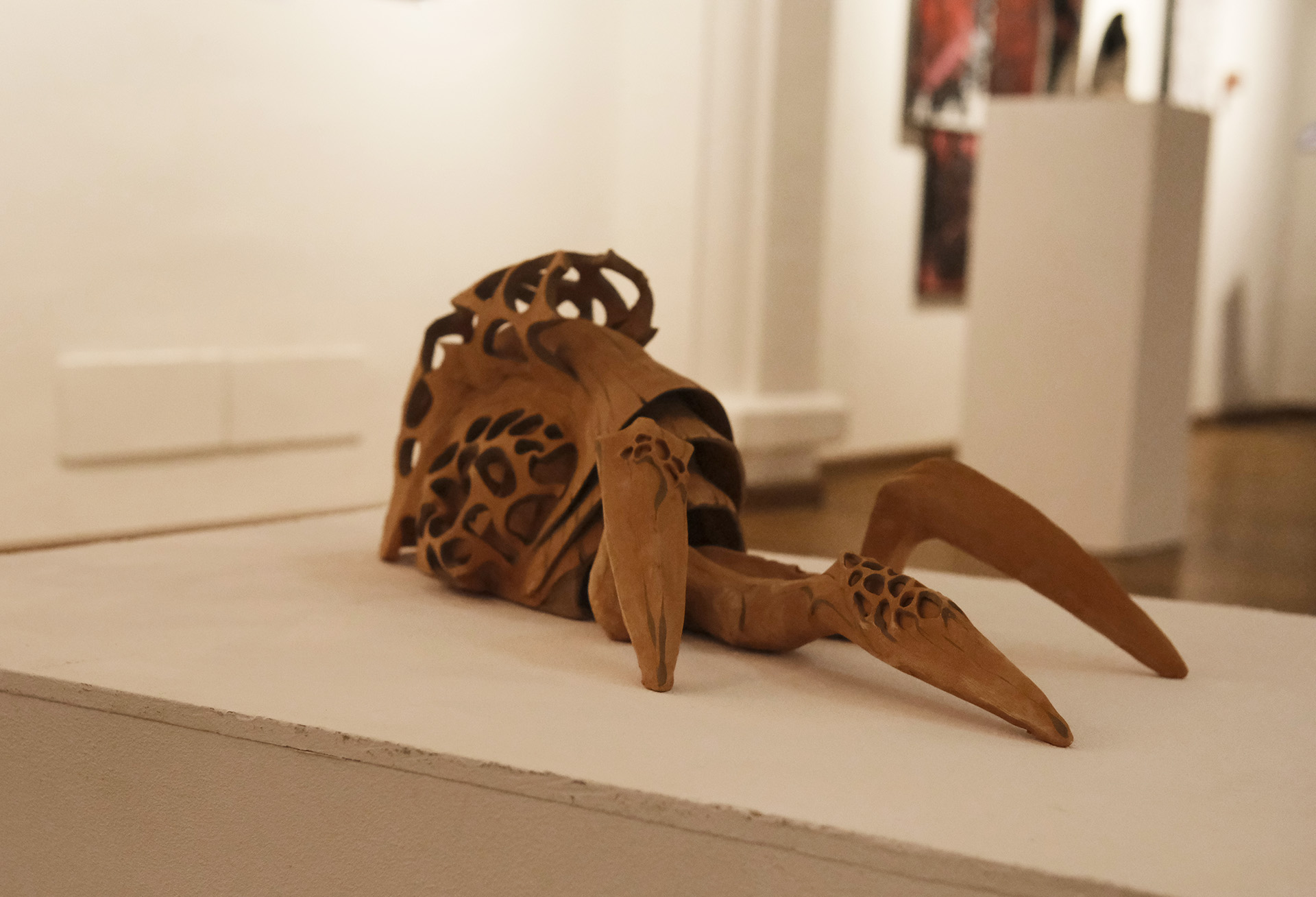 Reflexii in umbre (4)