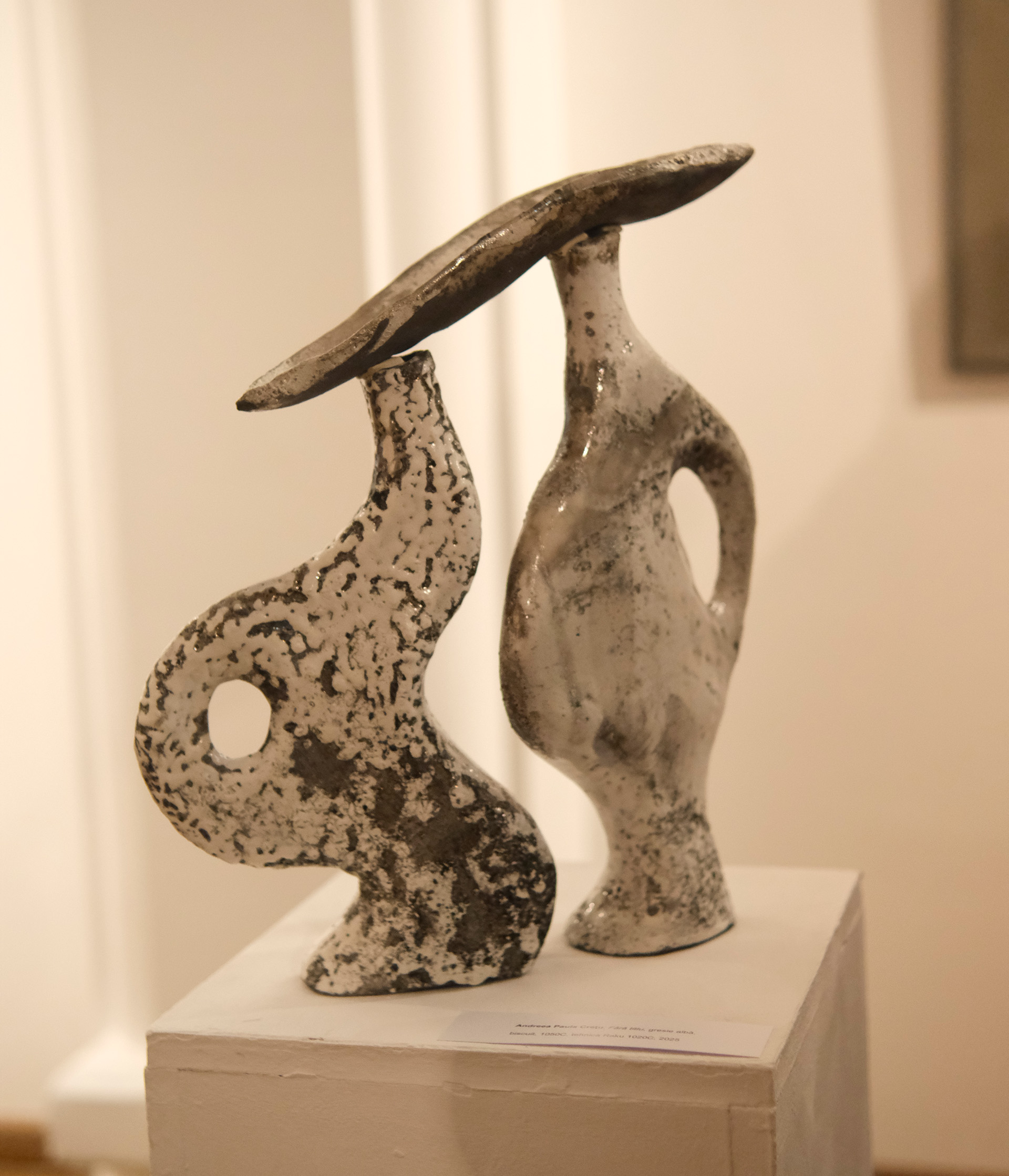 Reflexii in umbre (6)